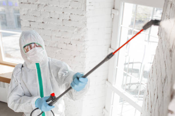 Mold Removal for HVAC Installations